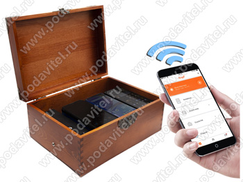 Акустический сейф SPY-box Шкатулка-3 Light-TUYA